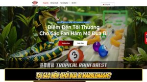 Tại sao nên chơi đua bi Marblemagic?