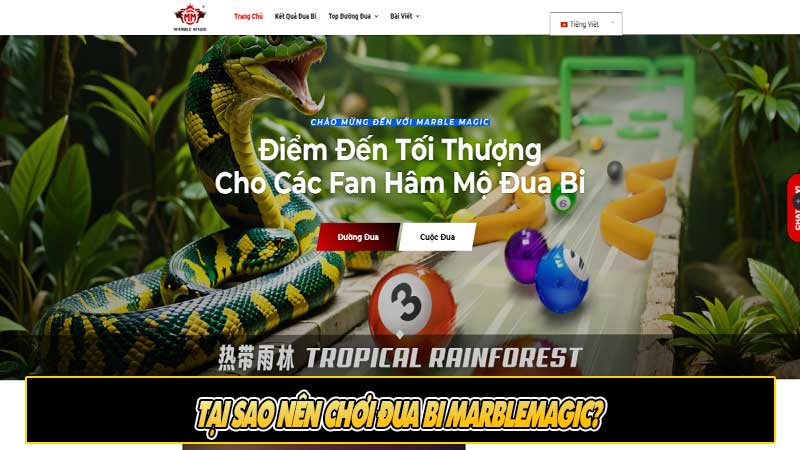 Tại sao nên chơi đua bi Marblemagic?