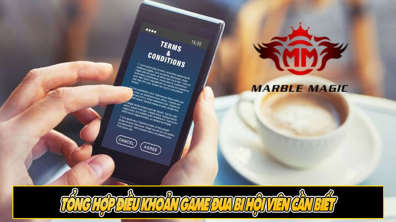 Tổng hợp điều khoản game đua bi hội viên cần biết